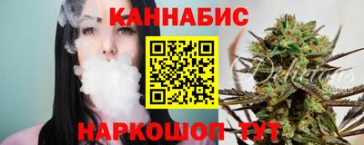 МДПВ Новодвинск
